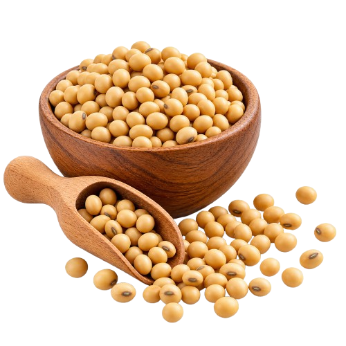 Kacang soya terpilih di dalam mangkuk kayu
