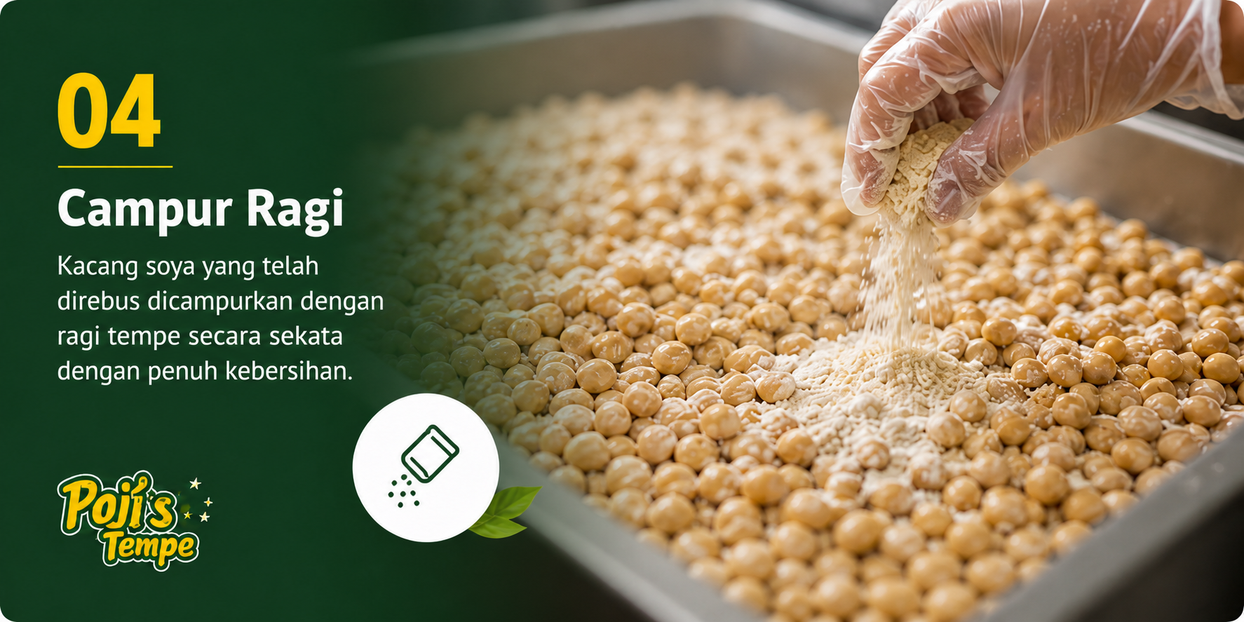 Langkah 04, ragi ditaburkan ke atas kacang soya