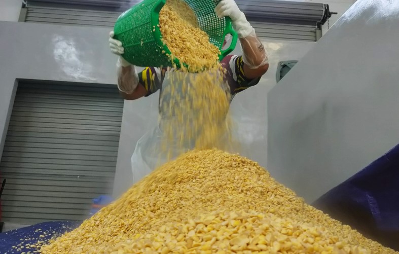 Pekerja Pojie’s mengendalikan kacang soya dalam persekitaran pengeluaran